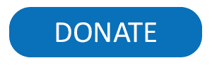 Donate Button LARGE 2
