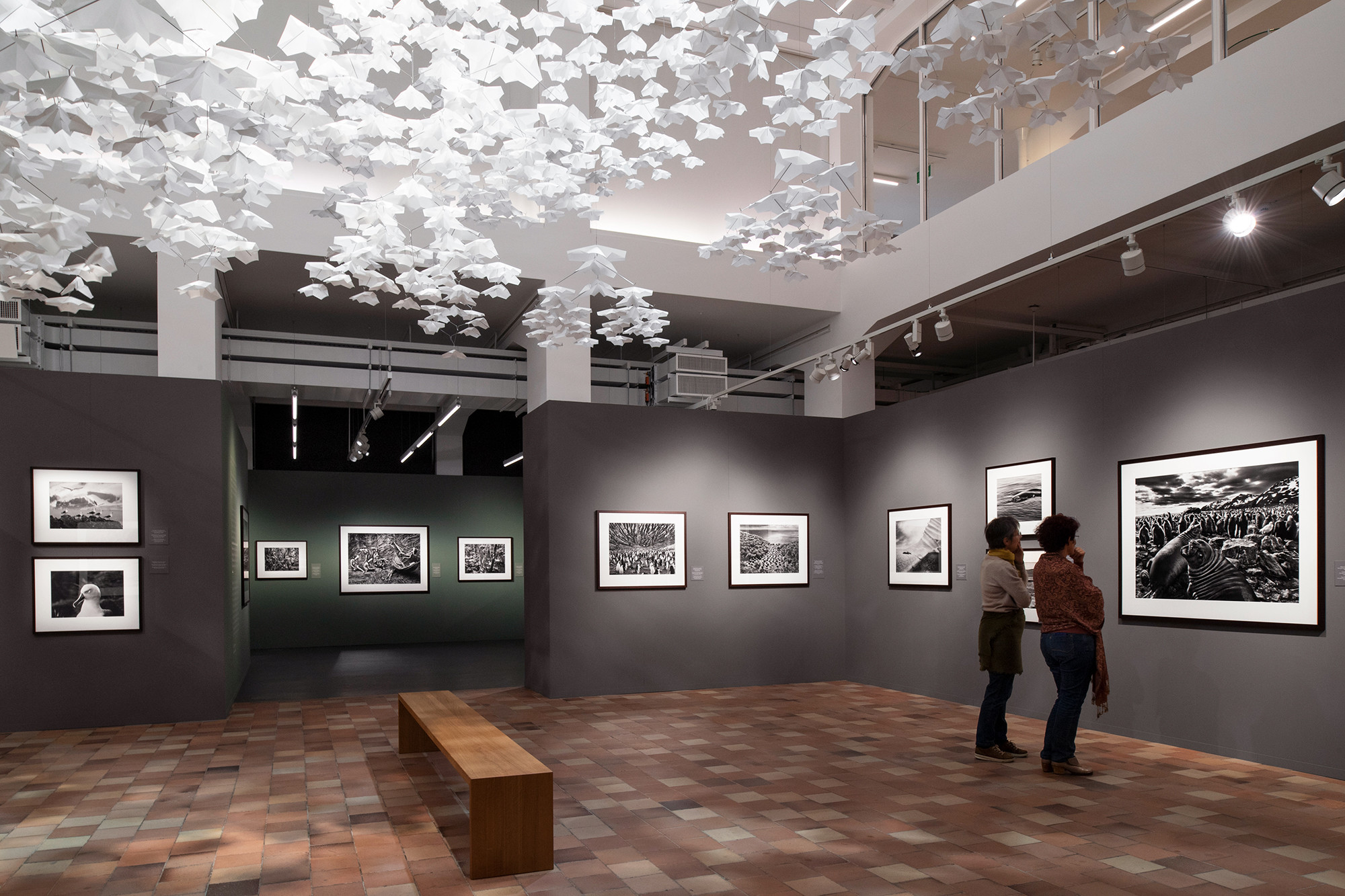 Salgado Genesis exposicion