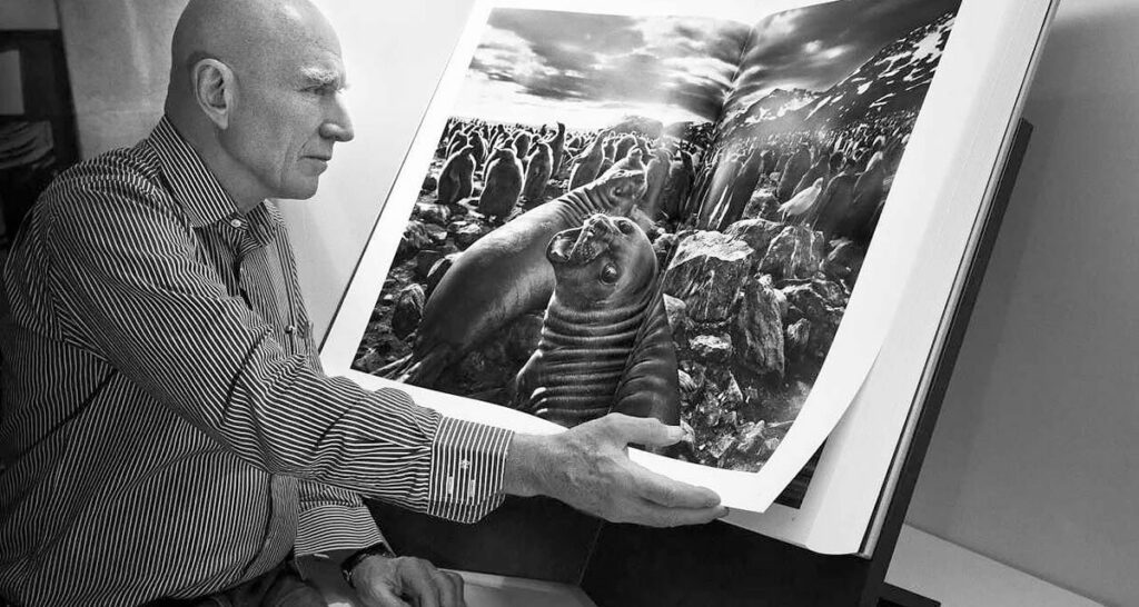 Salgado 1200x640 1 1024x546